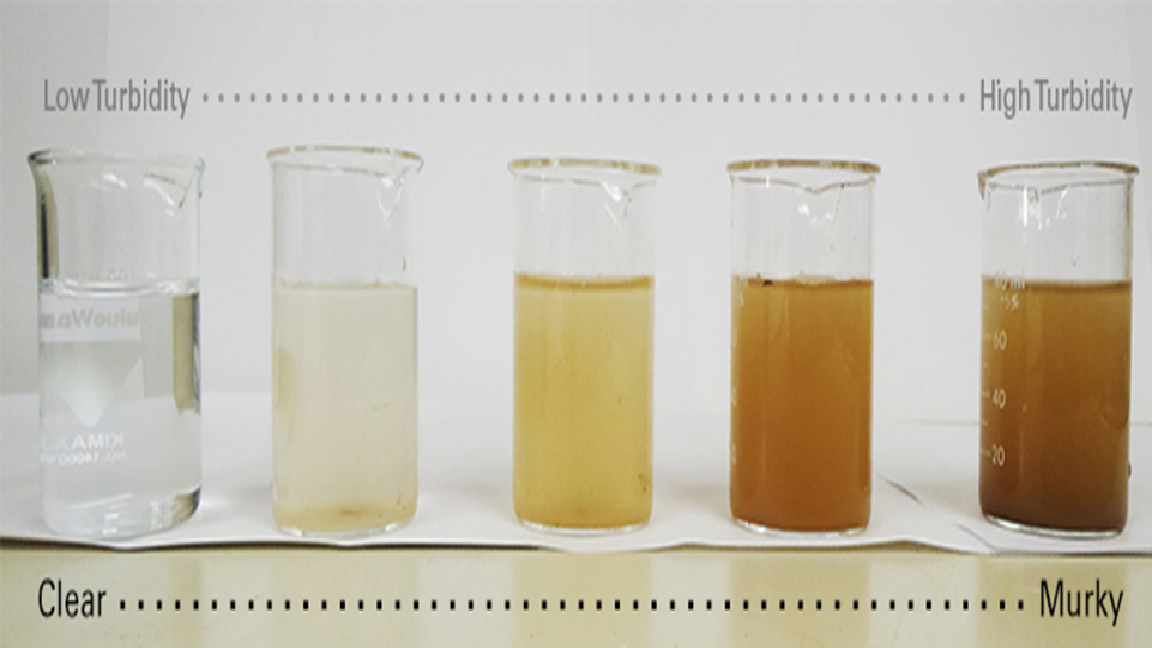 Turbid water showing suspended particles